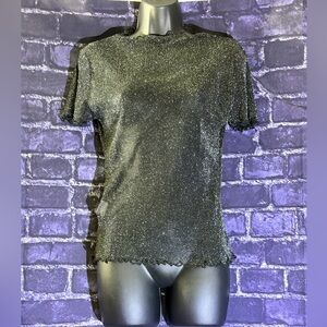 Elegant Black sheer Shimmer Top